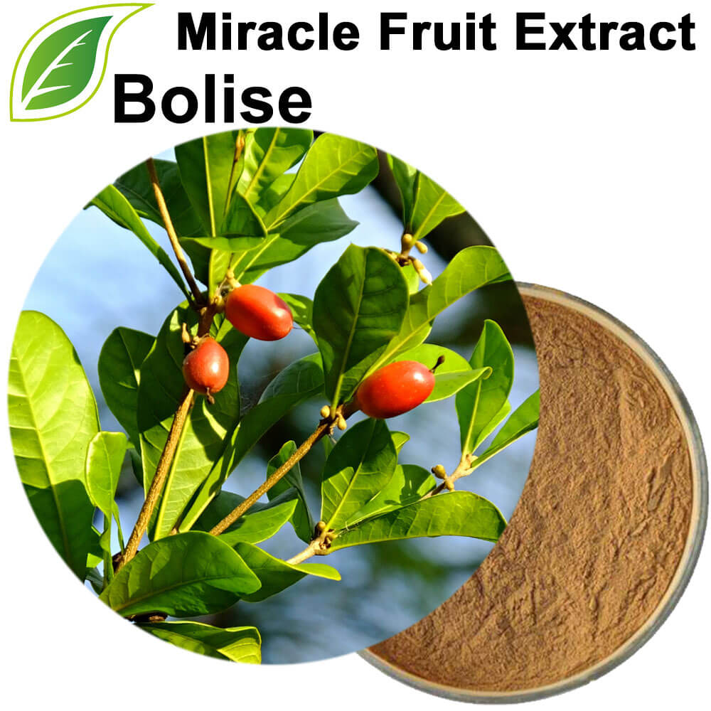 Miracle Fruit Extract Miracle Fruit Extract