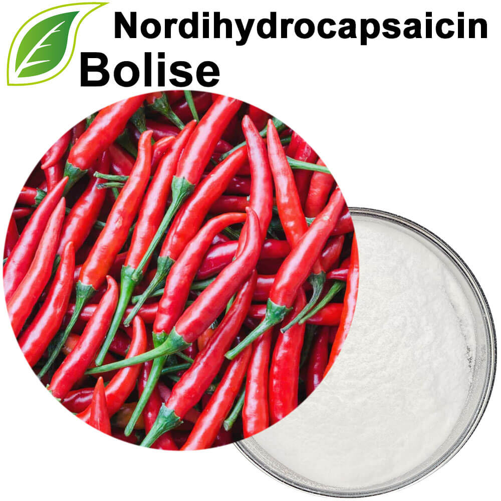 Nordihydrocapsaicin Nordihydrocapsaicin