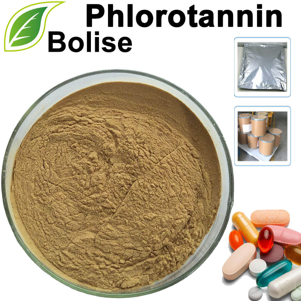 Phlorotannin Phlorotannin