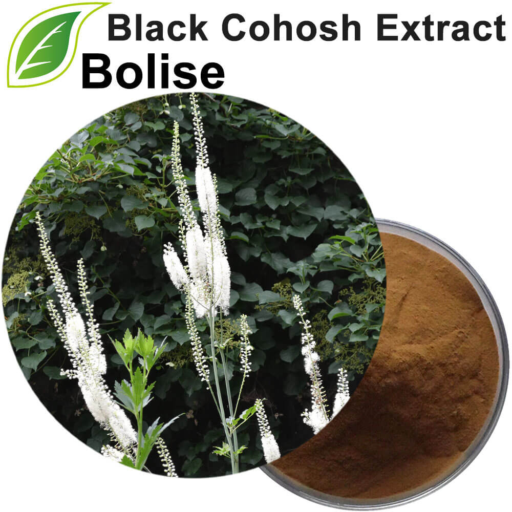 Black Cohosh Extract