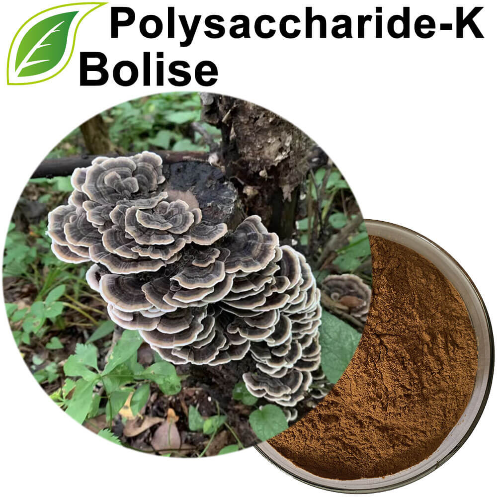 Polysaccharide-K Polysaccharide-K