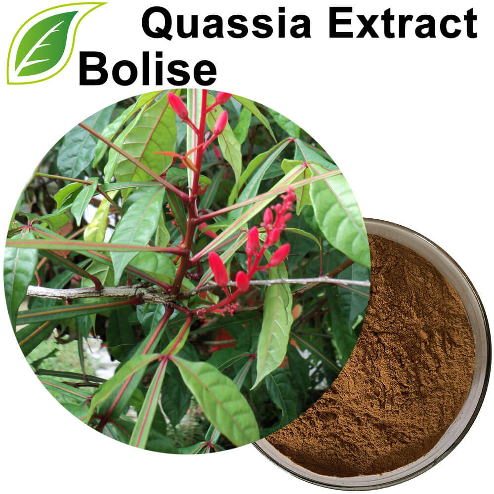 Quassia Extract Quassia Extract