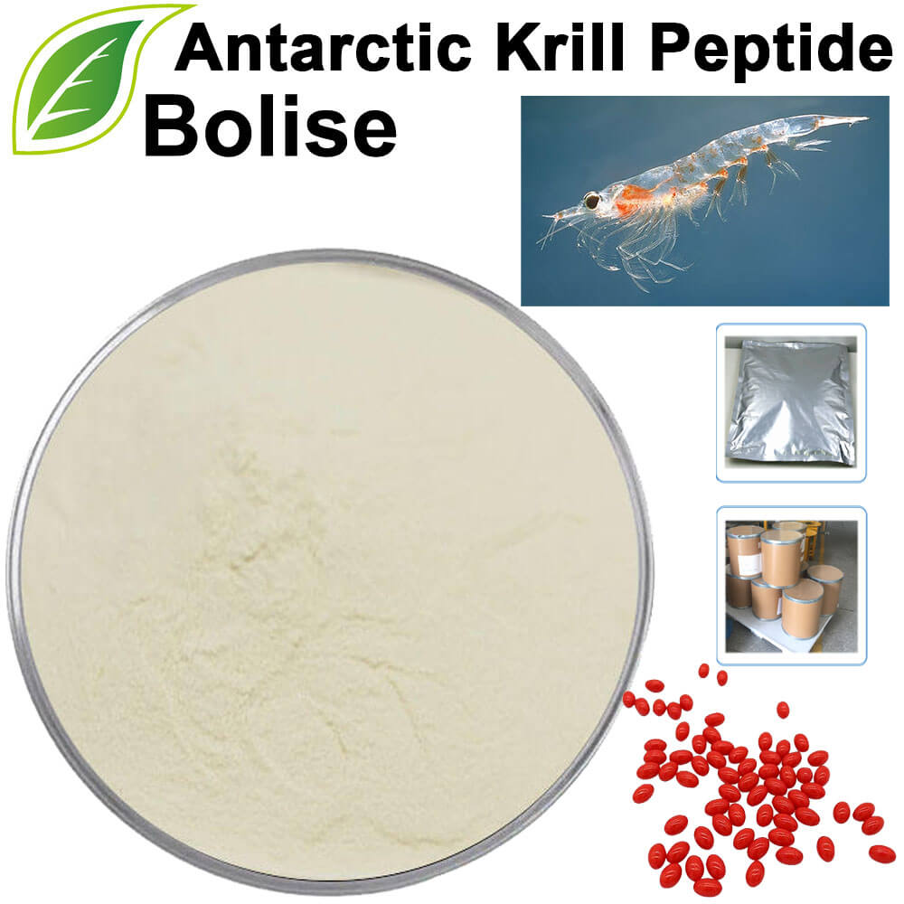 Antarctic Krill Peptide Antarctic Krill Peptide