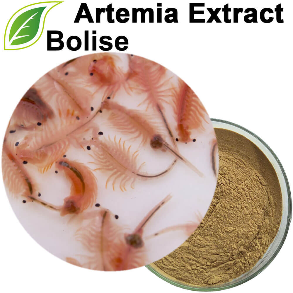 Artemia Extract Artemia Extract