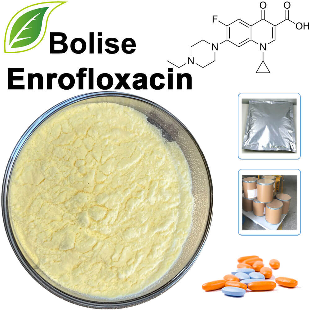 Enrofloxacin Enrofloxacin