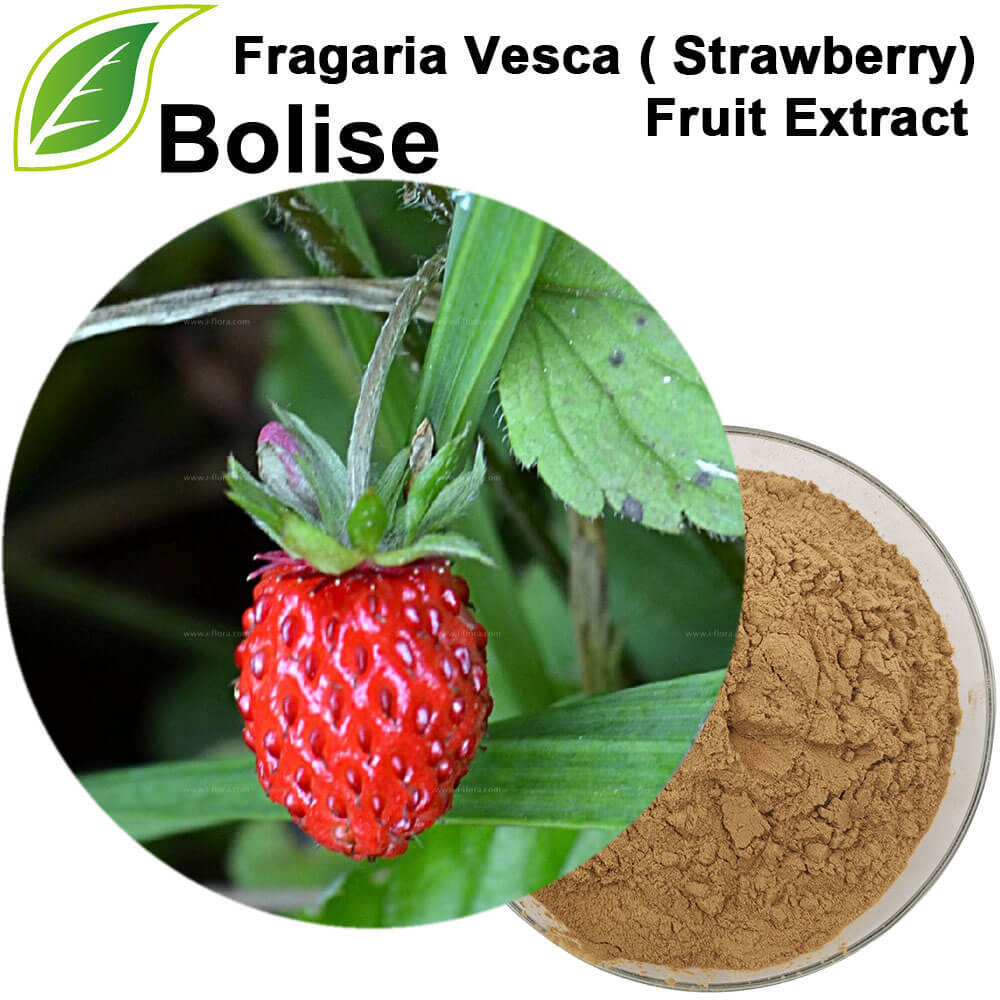 Fragaria Vesca ( Strawberry) Fruit Extract Fragaria Vesca ( Strawberry) Fruit Extract