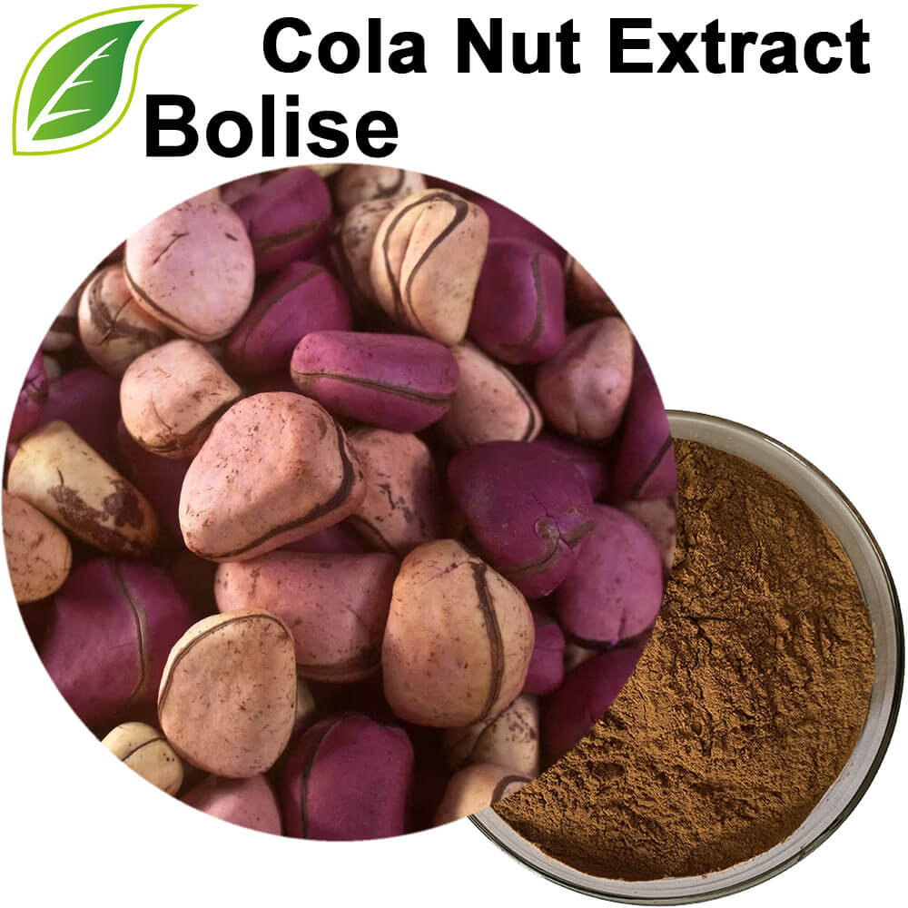 Kola Nut Extract(Cola Nut Extract)