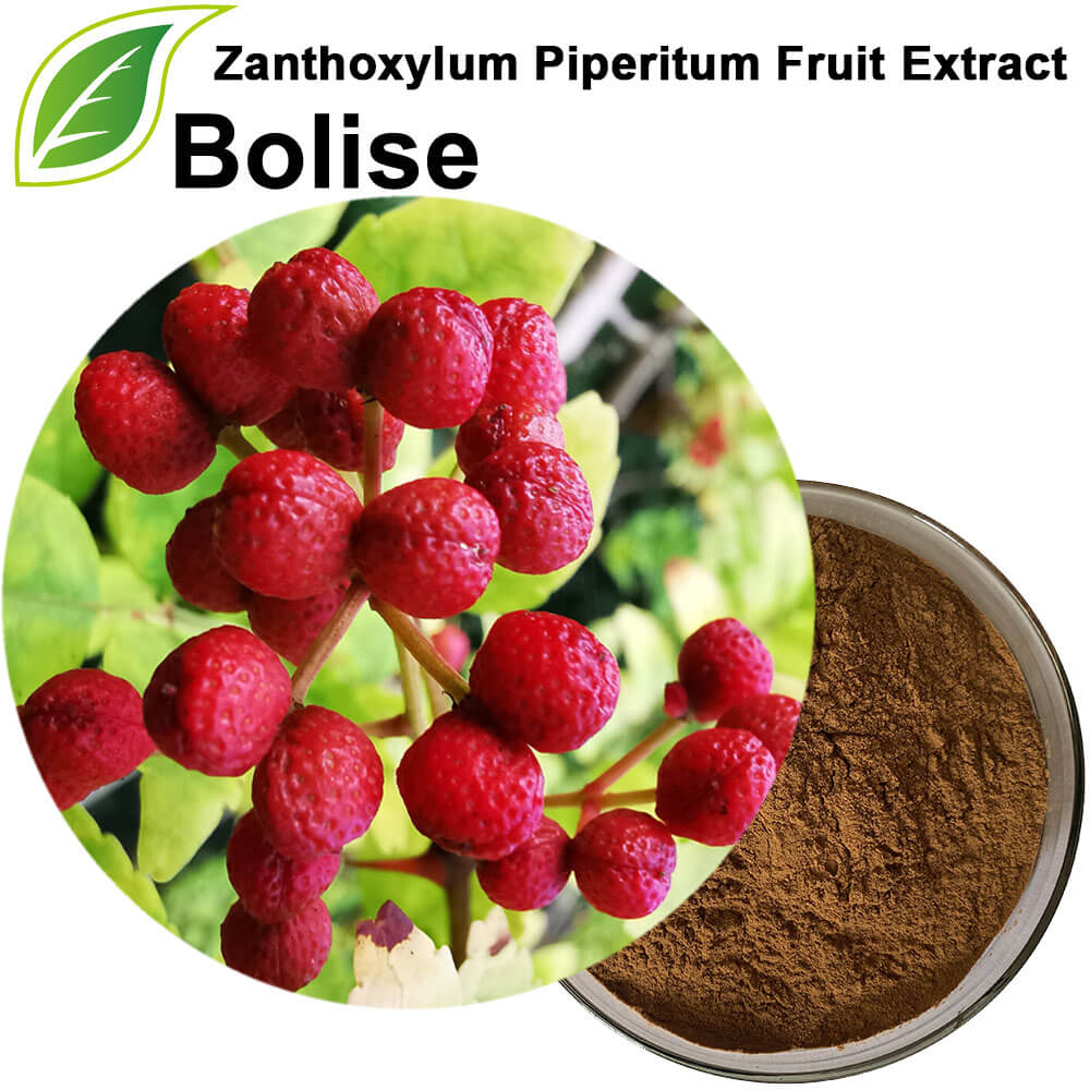 Zanthoxylum Piperitum Fruit Extract Zanthoxylum Piperitum Fruit Extract