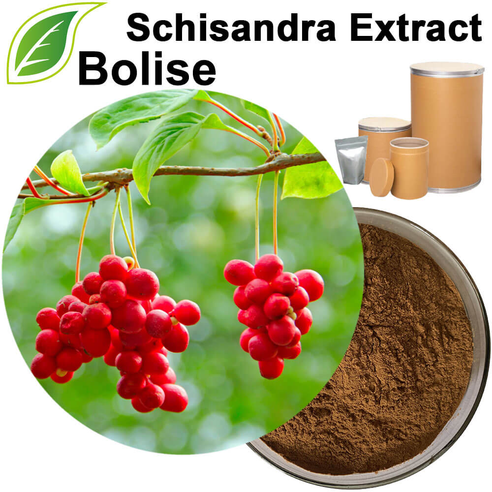 Schisandra Extract