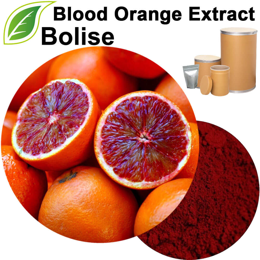 Sicilian Blood Orange Extract Sicilian Blood Orange Extract