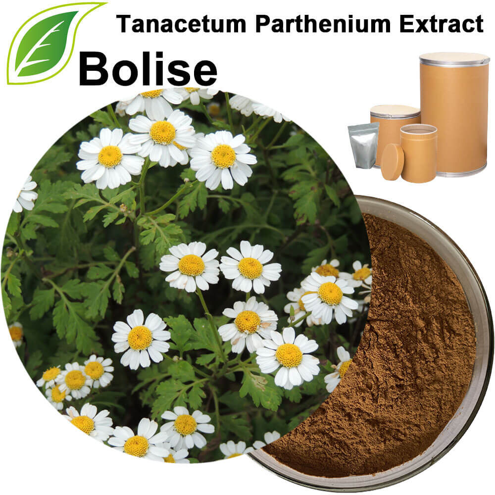 Tanacetum Parthenium Extract Tanacetum Parthenium Extract