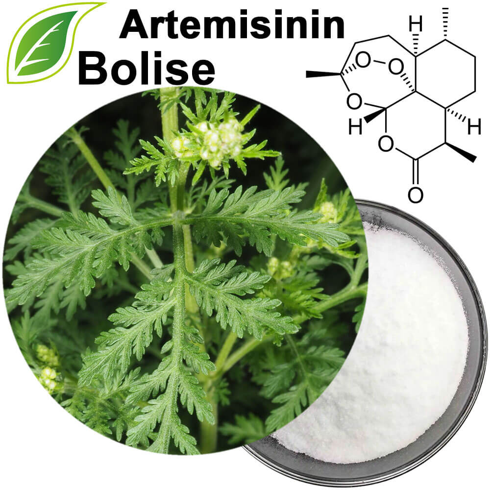 Artemisinin Artemisinin