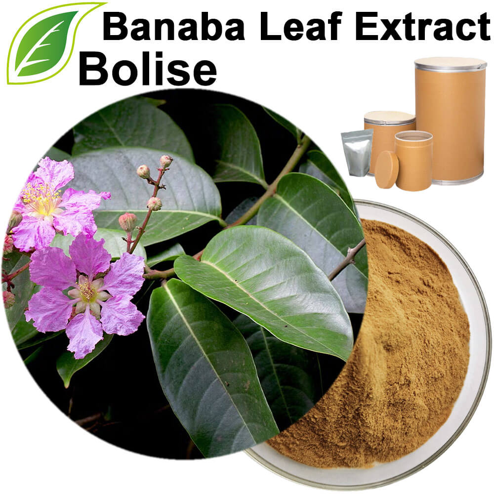 Banaba Leaf Extract