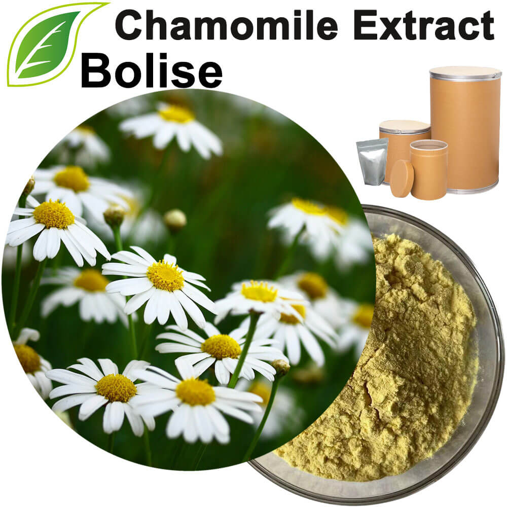 Chamomile Extract(Matricaria Extract)