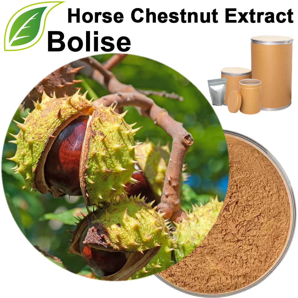 Horse Chestnut Extract(Buckeye Extract)