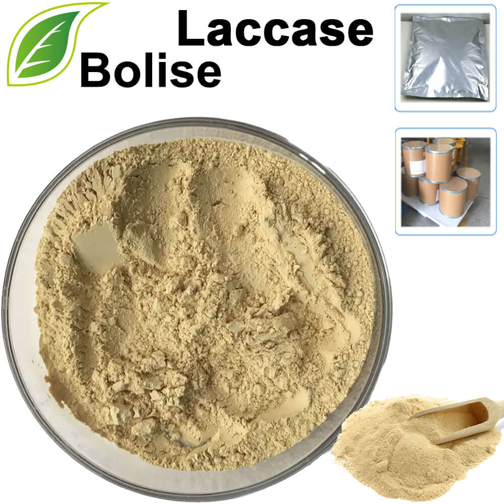 Laccase