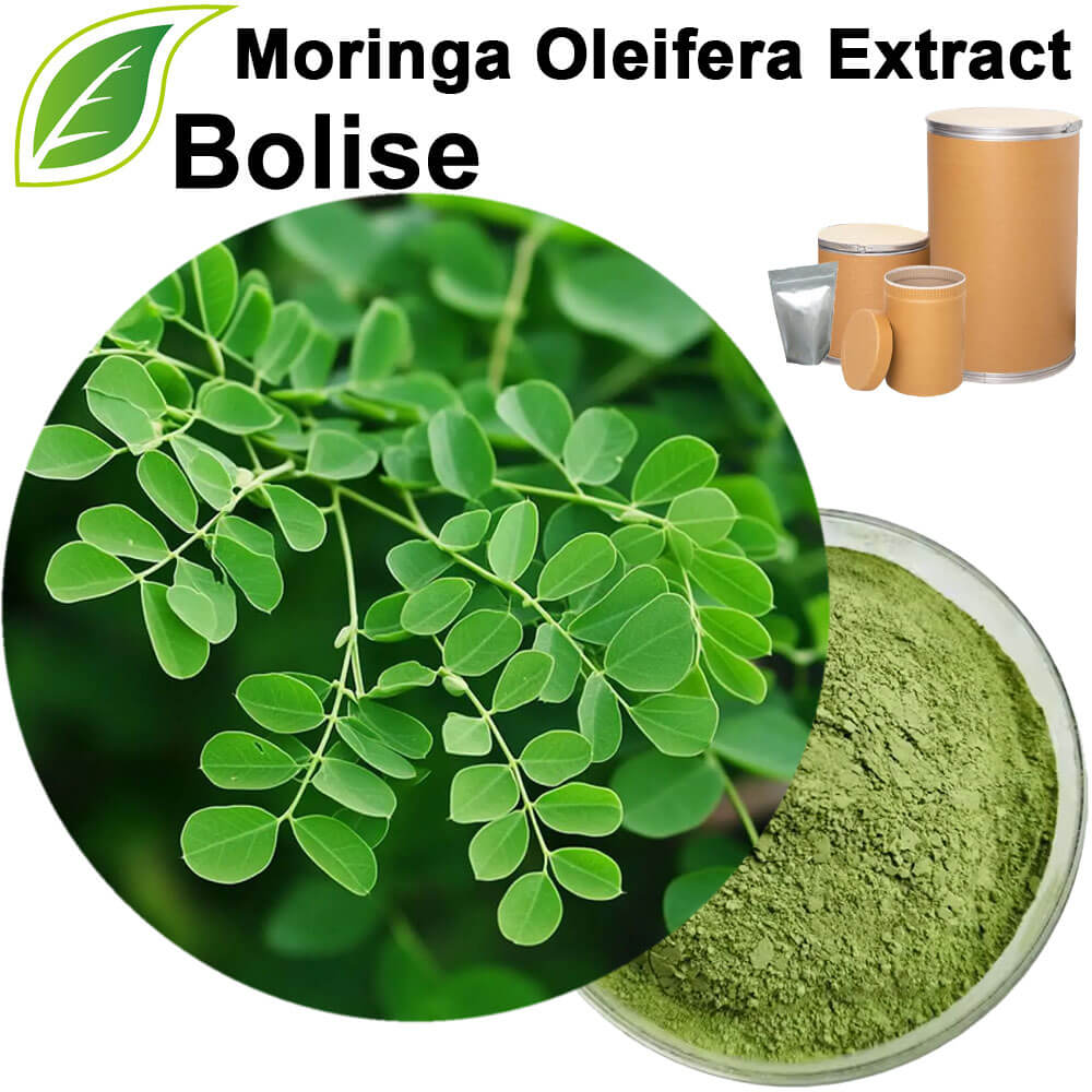 Moringa Extract (Moringa Oleifera Extract)