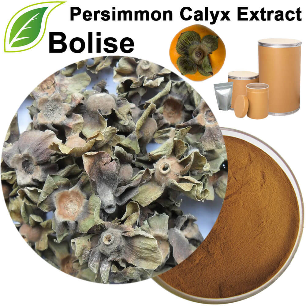 Persimmon Calyx Extract(Calyx Kaki Extract)