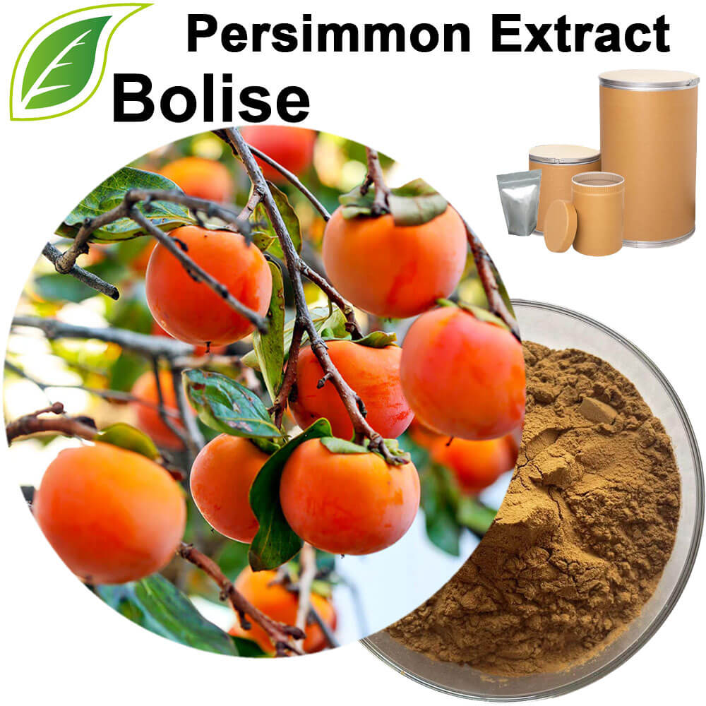 Persimmon Extract Persimmon Extract