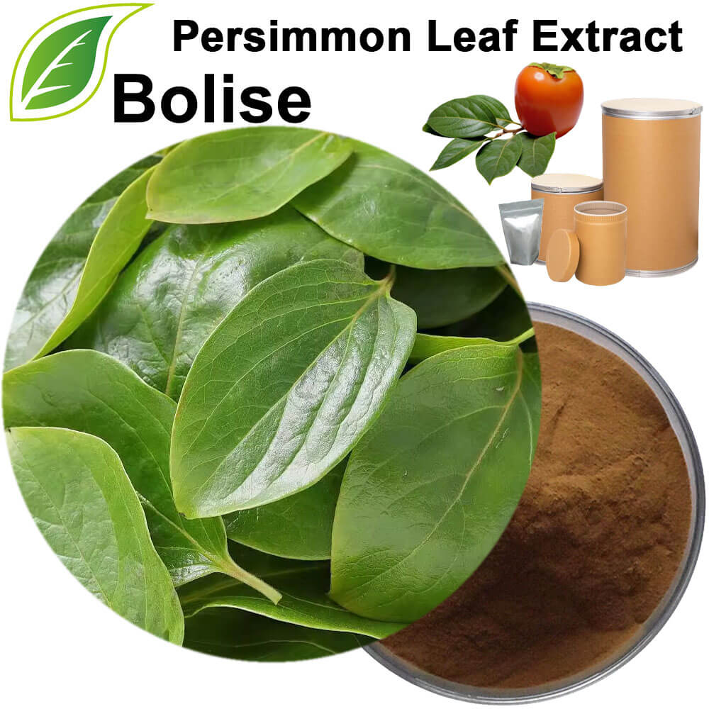 Persimmon Leaf Extract