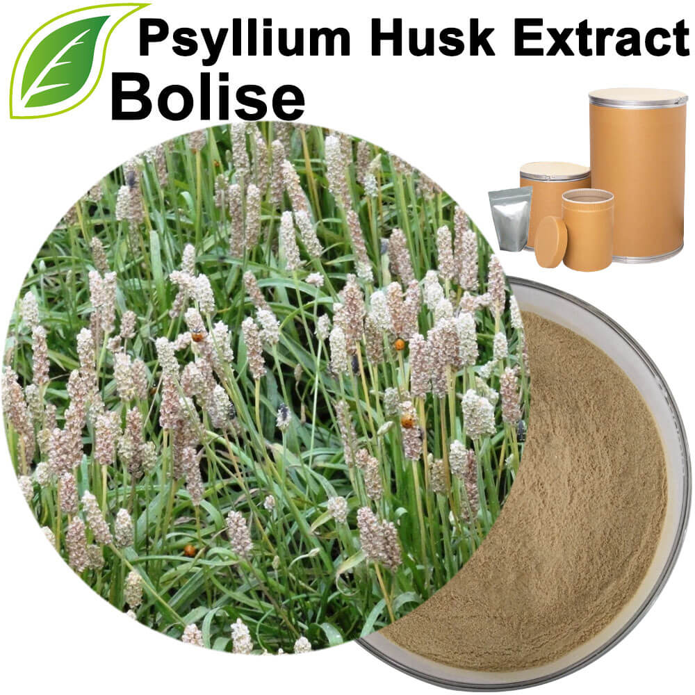 Psyllium Husk Extract