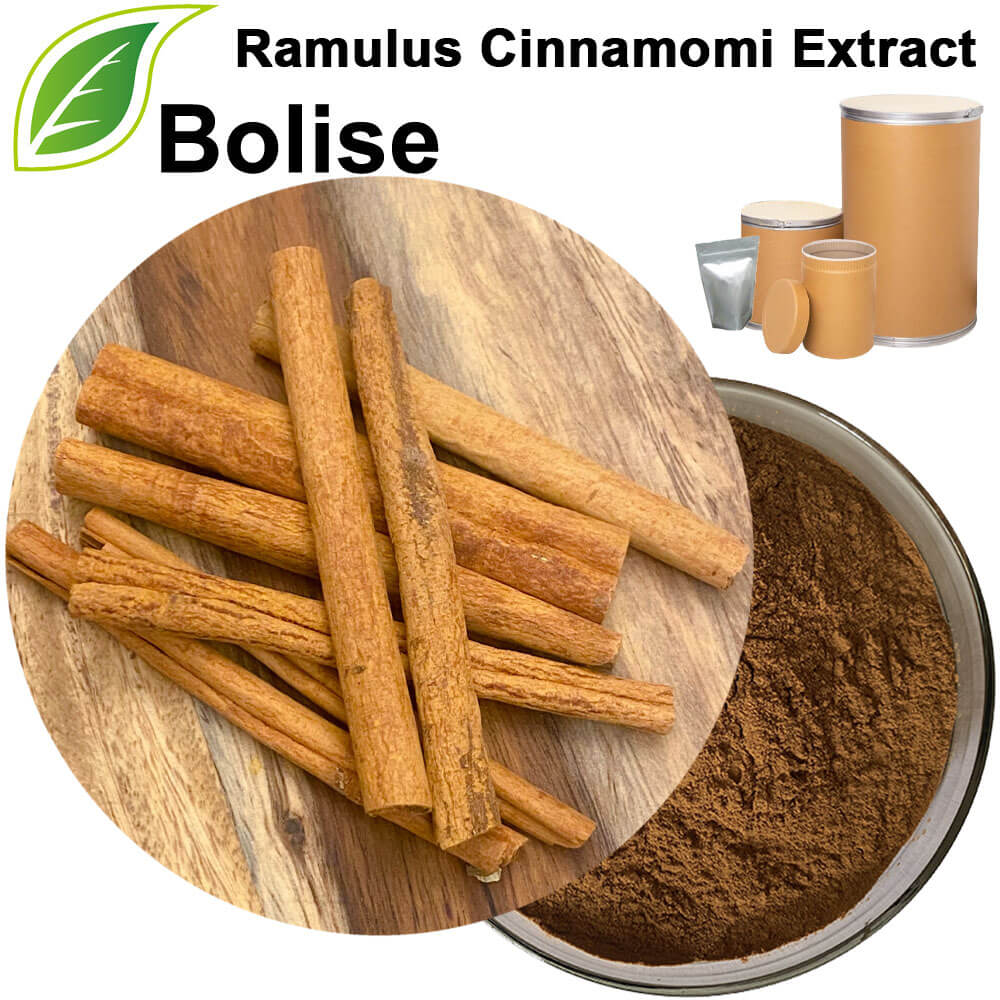Cassia Twig Extract(Ramulus Cinnamomi Extract) Cassia Twig Extract(Ramulus Cinnamomi Extract)