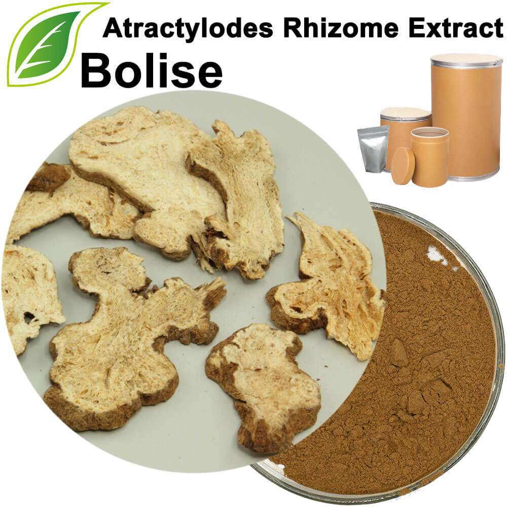 Atractylodes Rhizome Extract(Rhizoma Atractylodis Extract)