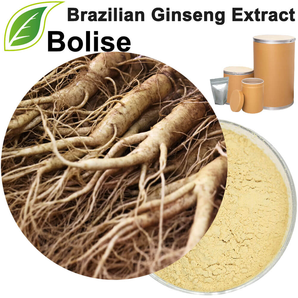 Brazilian Ginseng (Pfaffia Glomerata) Extract