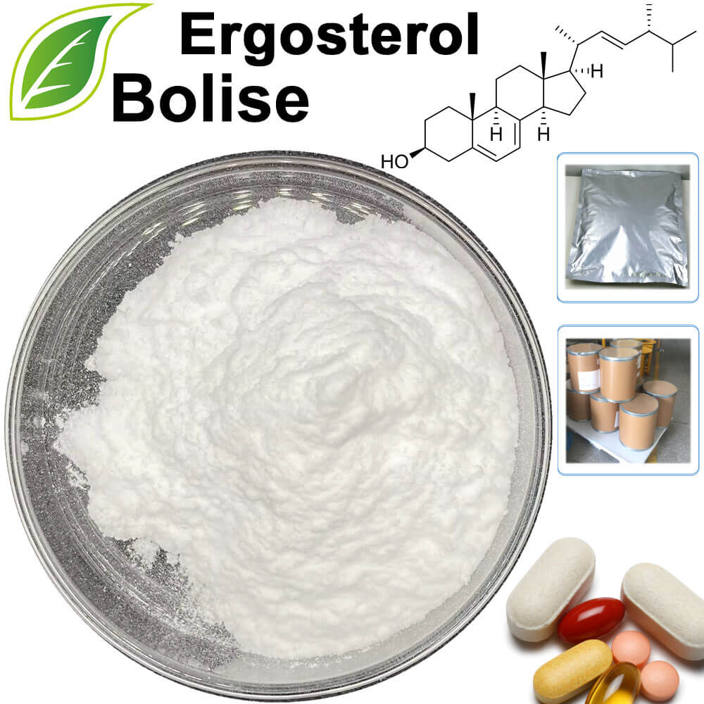 Ergosterol