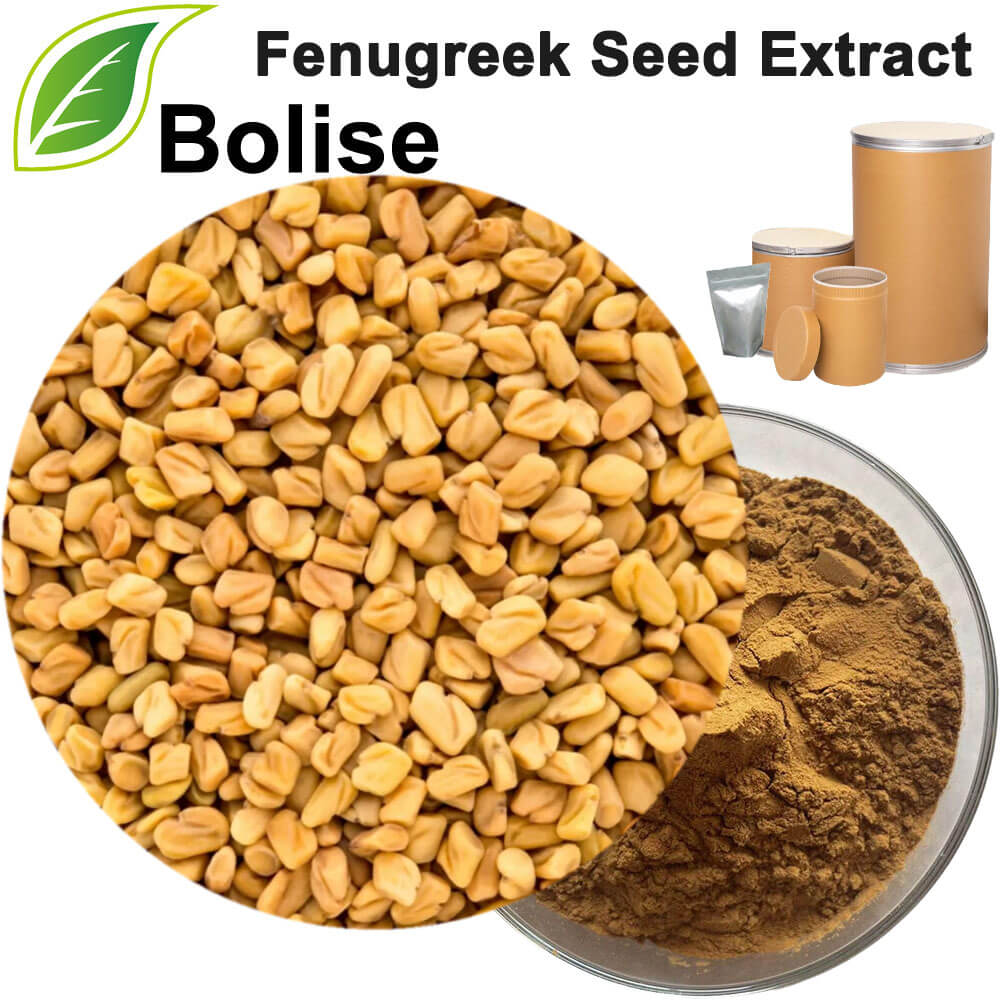 Fenugreek Seed Extract