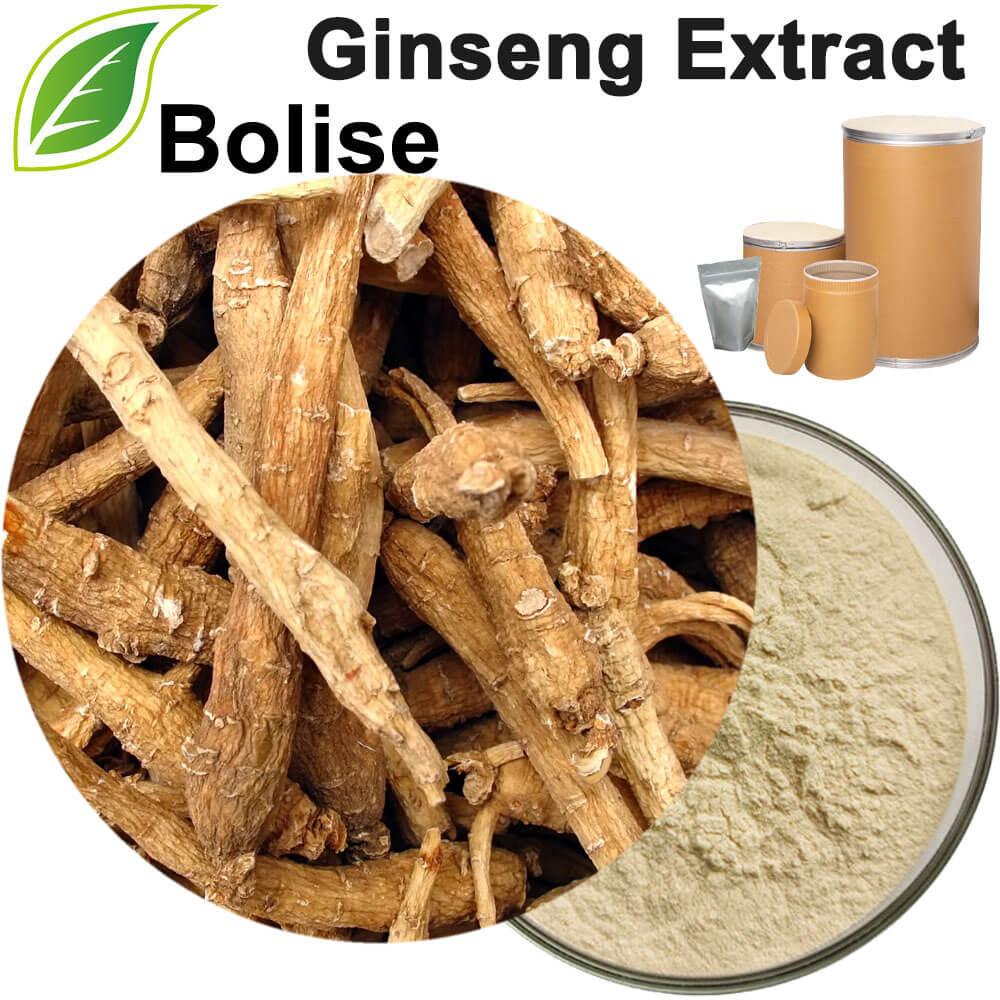 Ginseng Extract
