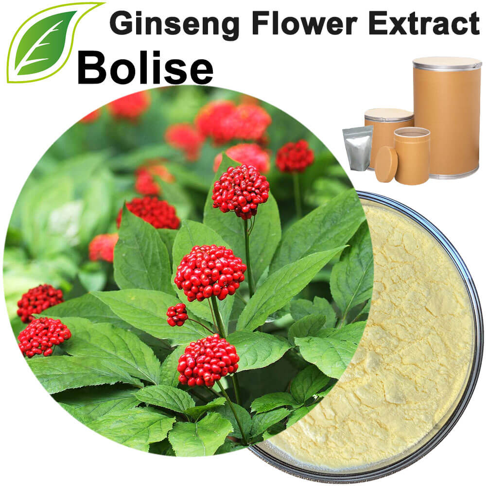 Ginseng Flower Extract Powder