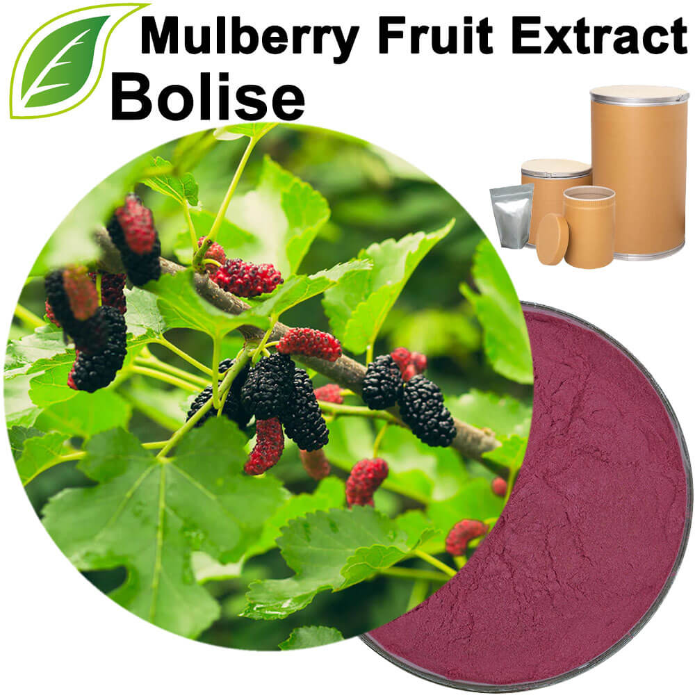 Mulberry Fruit Extract