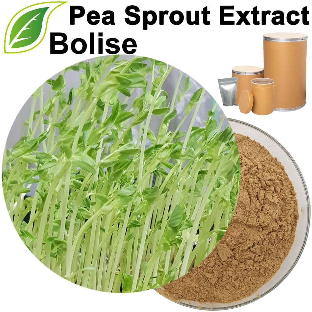 Pea Sprout Extract