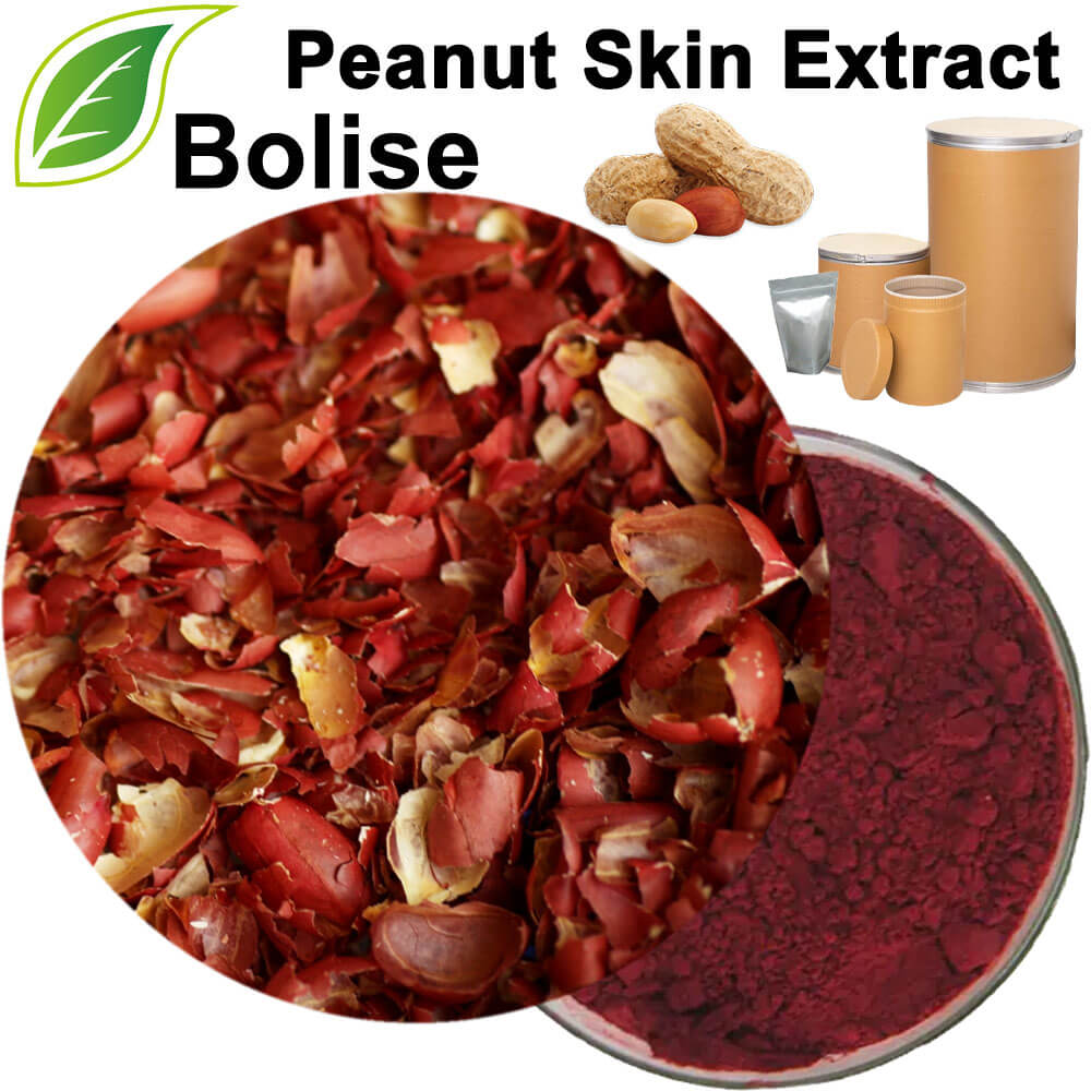 Peanut Skin Extract