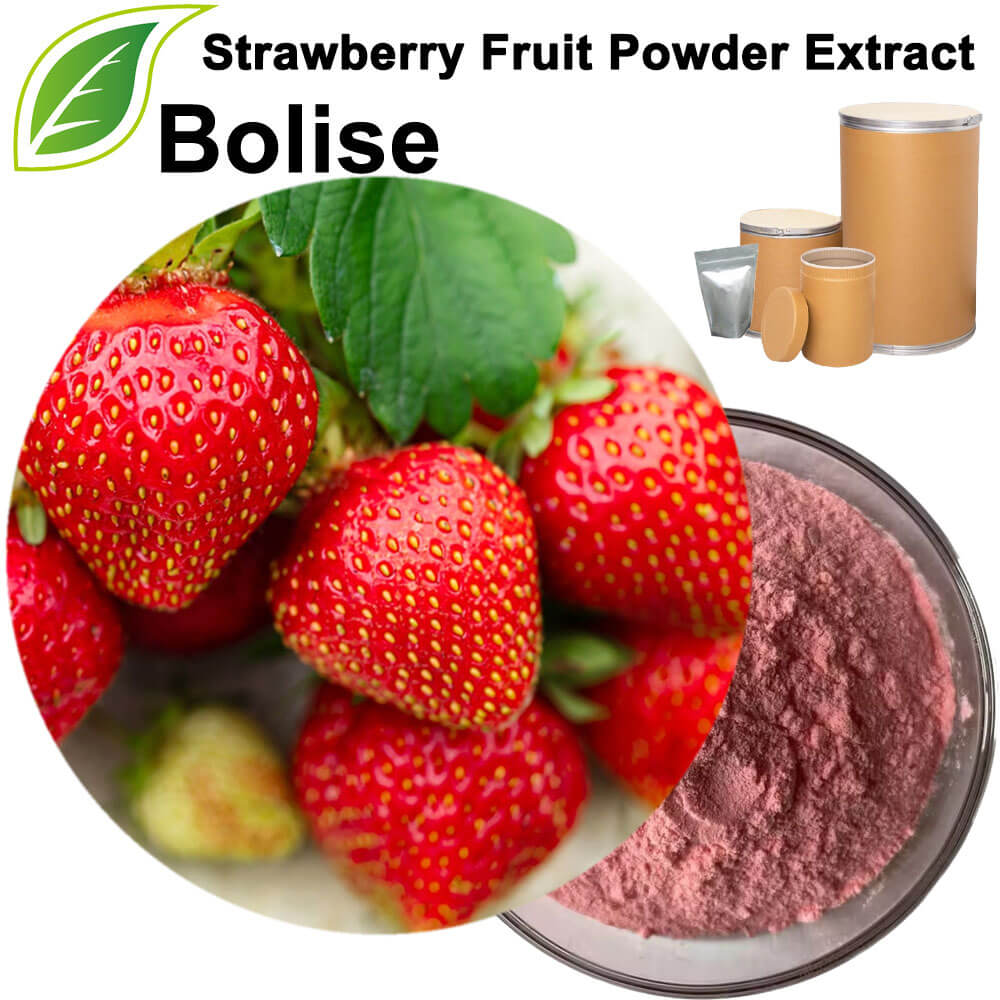 Strawberry Fruit Powder Extract