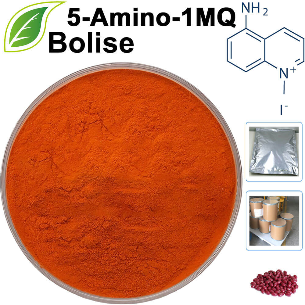 5-Amino-1MQ