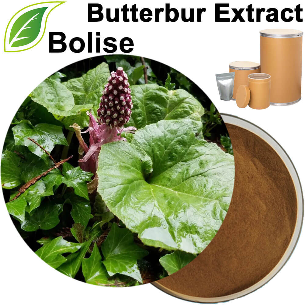 Butterbur Extract