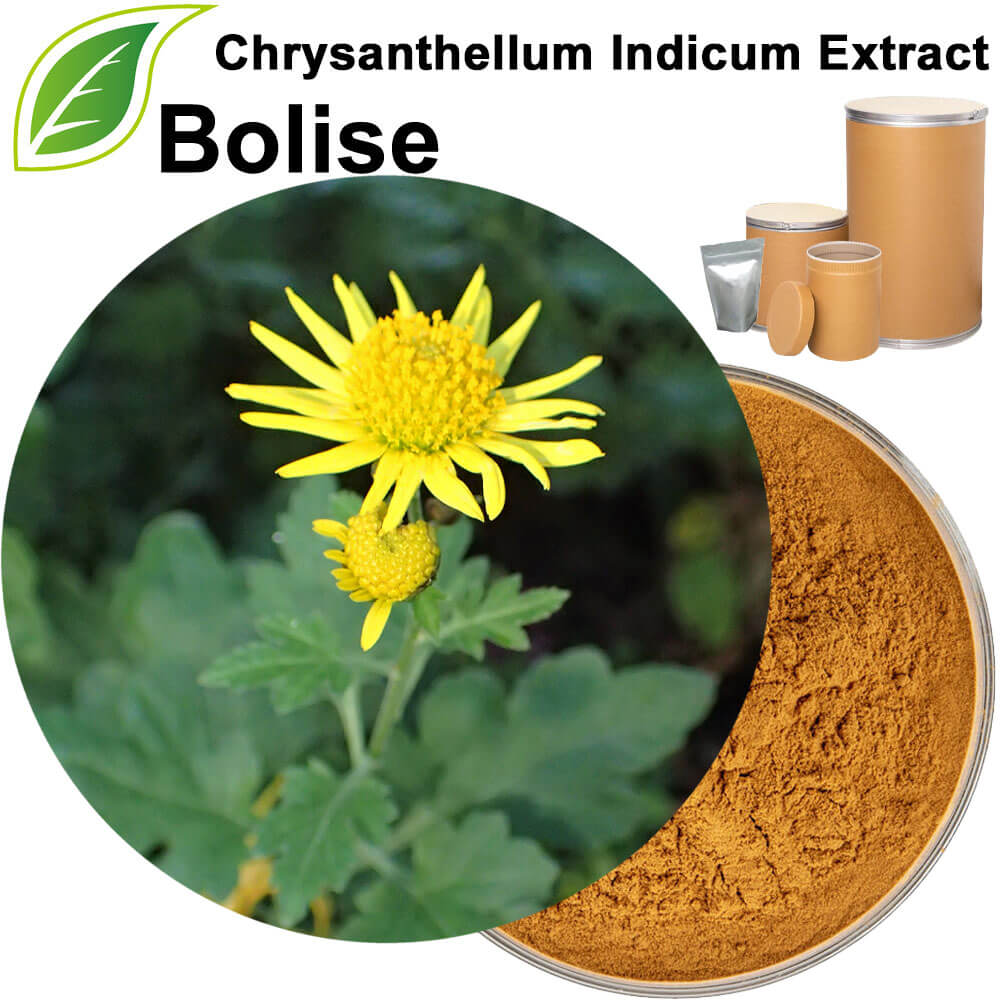 Chrysanthellum Indicum (Golden Chamomile) Extract