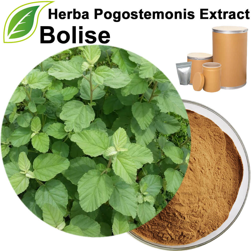 Cablin Patchouli Herb Extract(Herba Pogostemonis Extract)
