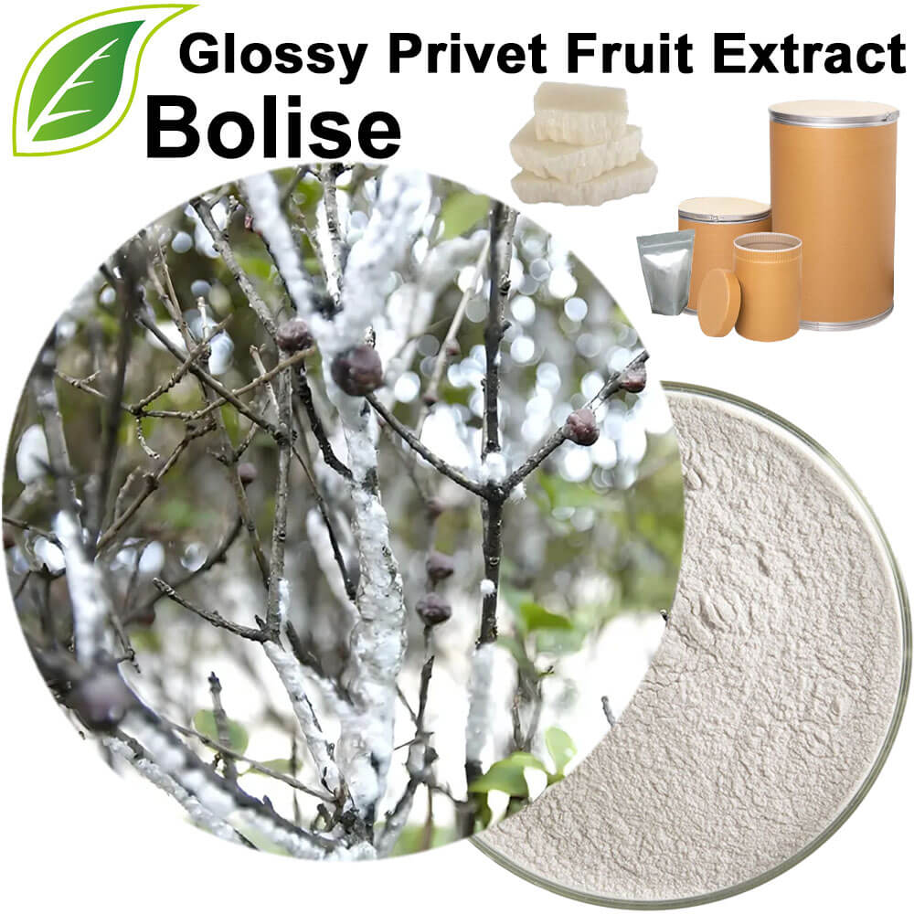 Insect Wax Extract(Cera Chinensis Extract)