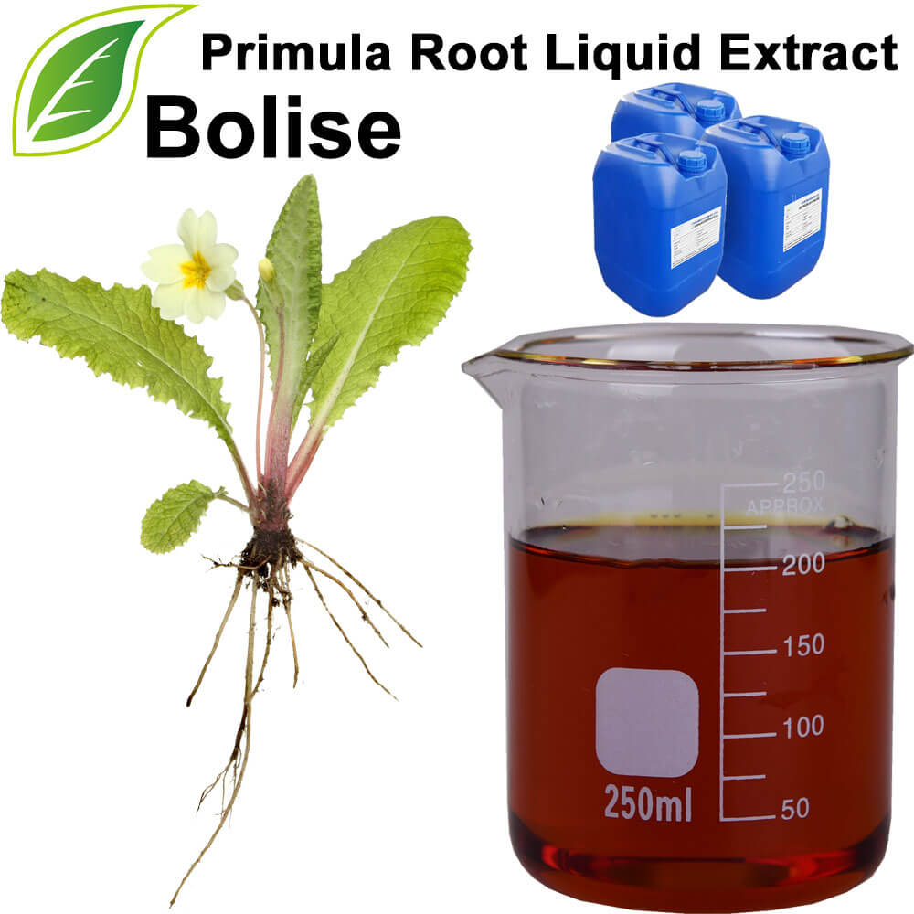Primula Root Liquid Extract(Primula Root Fluid Extract)