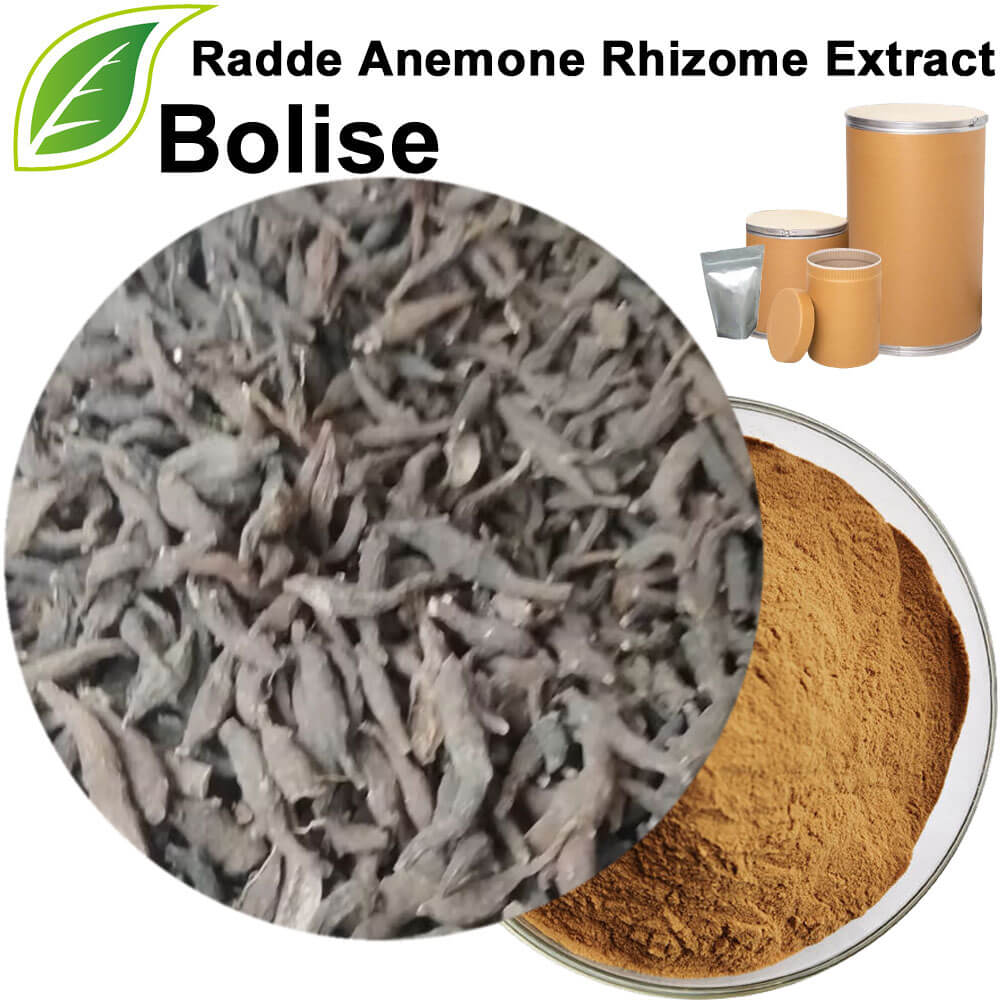 Radde Anemone Rhizome Extract