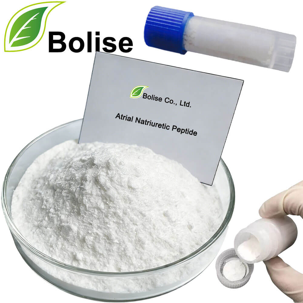 Atrial Natriuretic Peptide