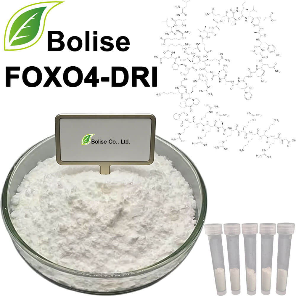 FOXO4-DRI