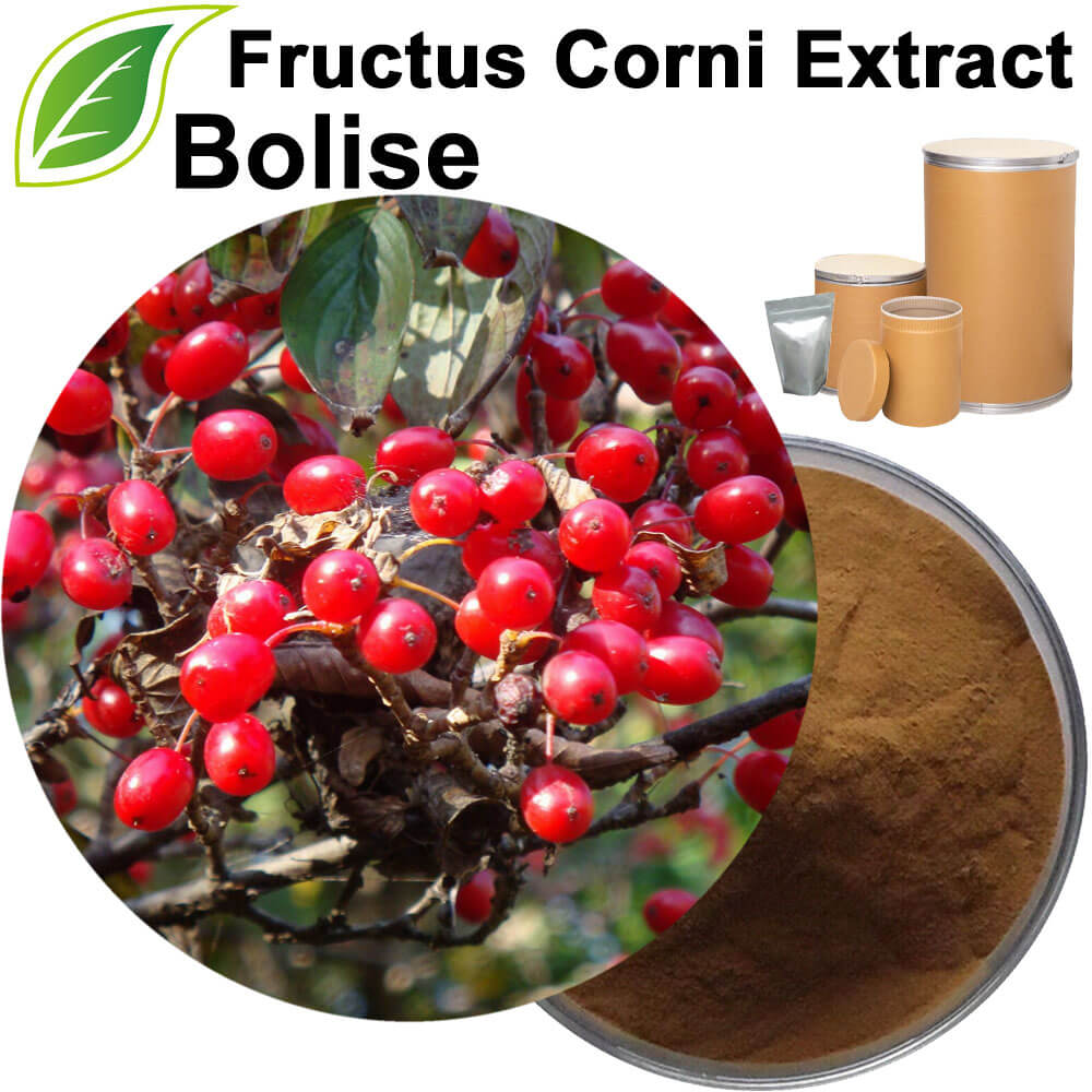 Asiatic Cornelian Cherry Fruit Extract(Fructus Corni Extract)
