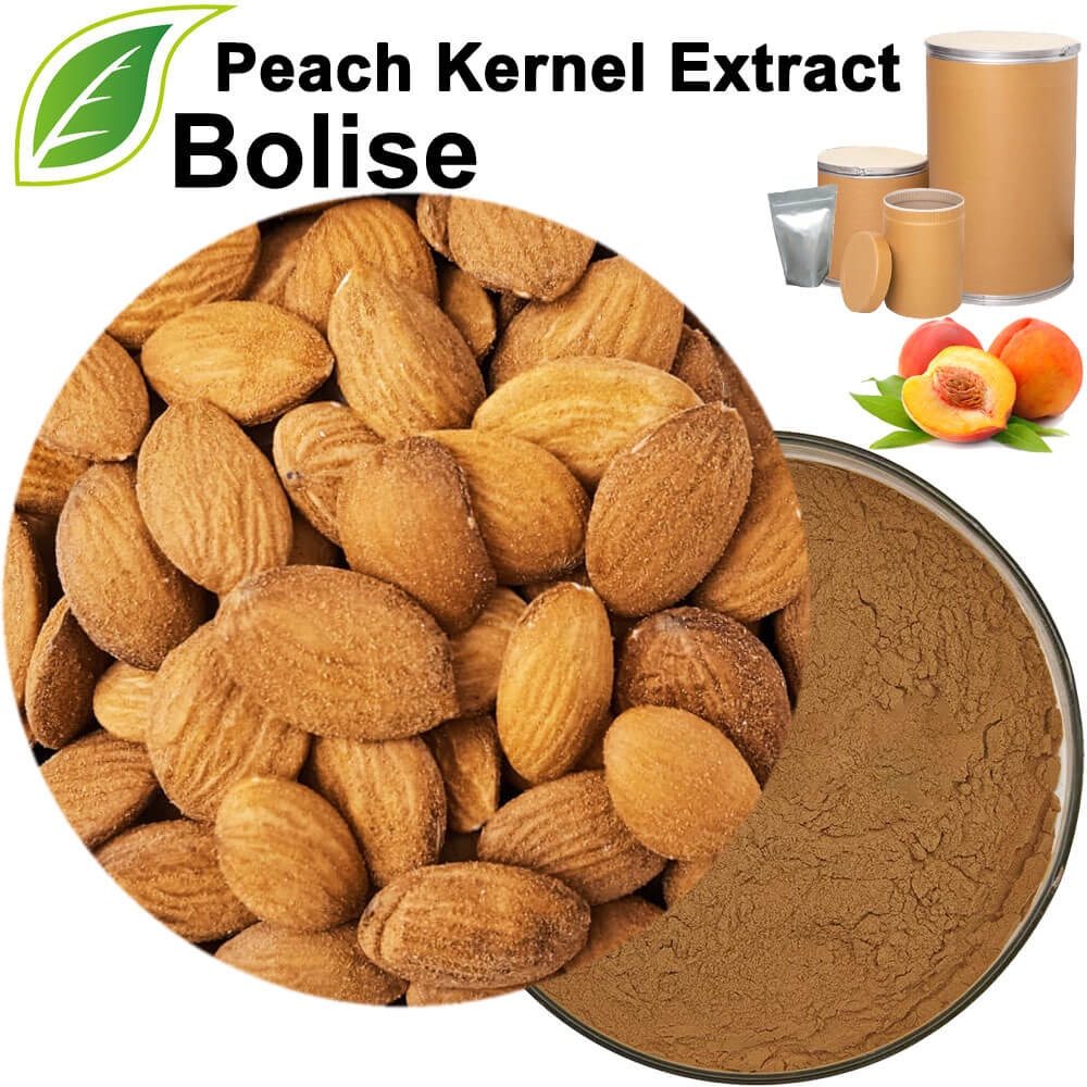 Peach Kernel Extract