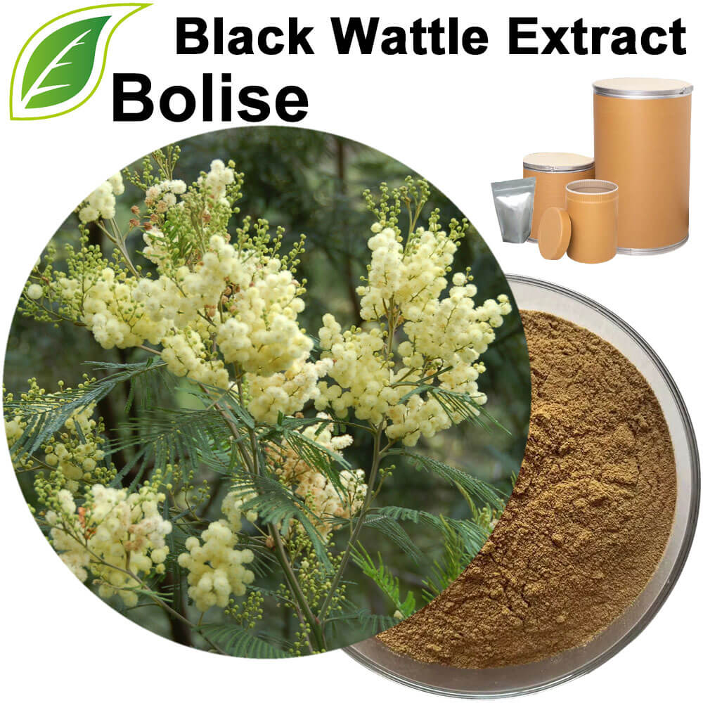 Black Wattle Extract(Acacia Mearnsii Extract)