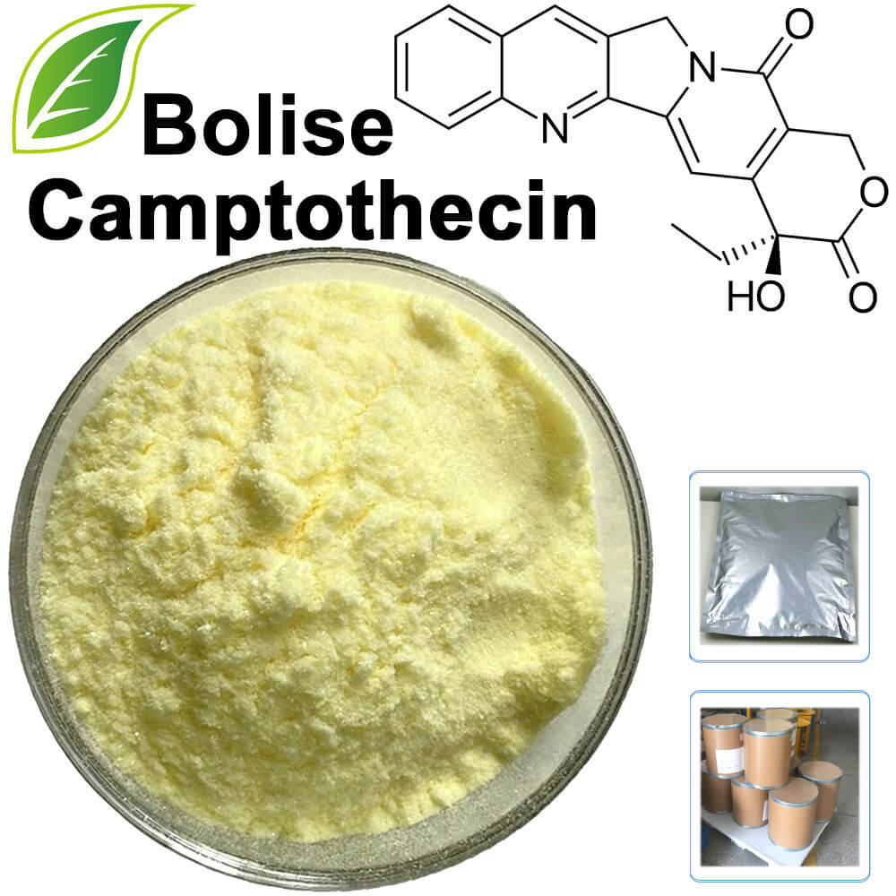 Camptothecin