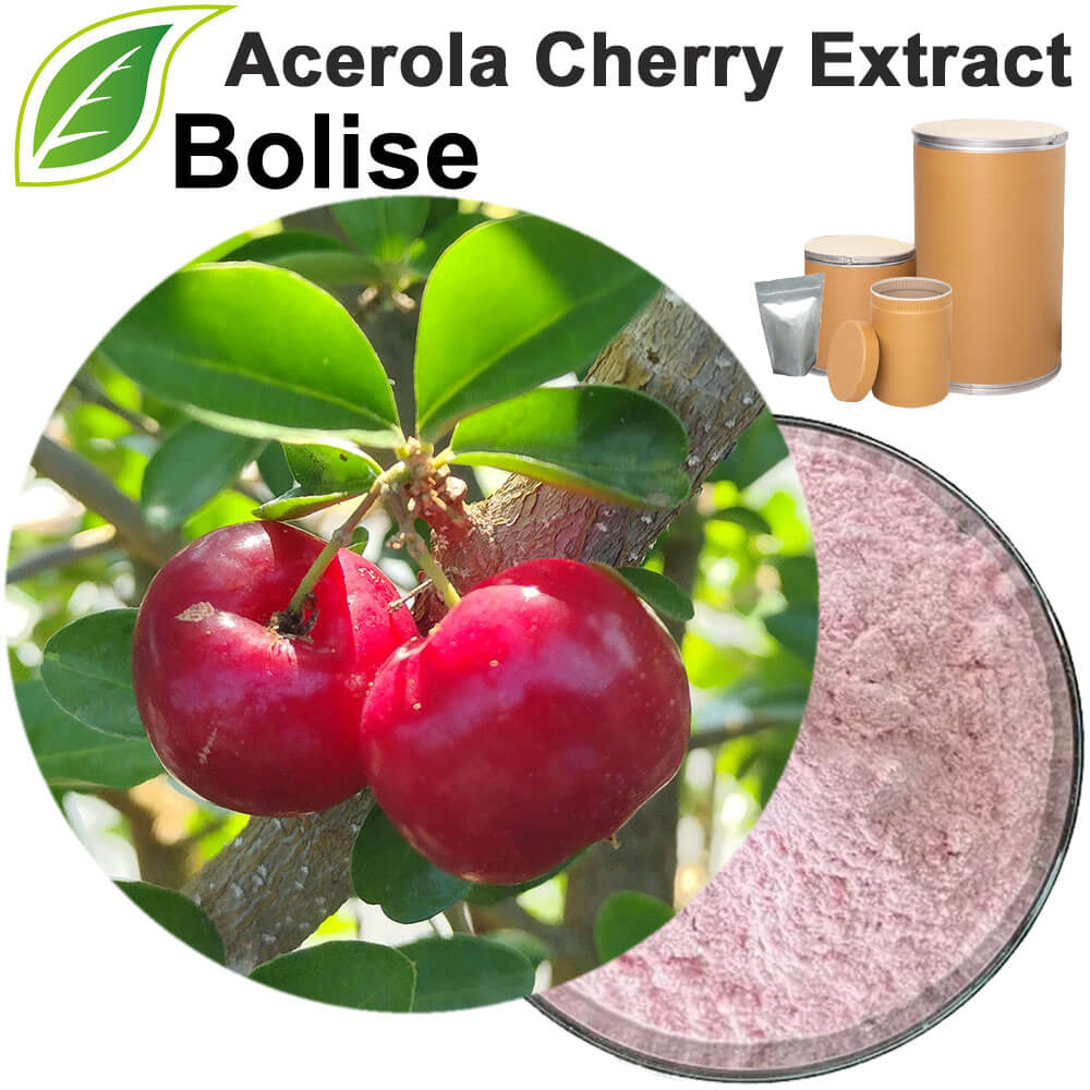 Acerola Cherry Extract (Vc 25%)
